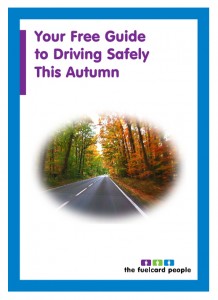 free-autumn-driving-guide-download