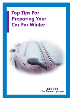 free-guide-to-winter-maintenance-download