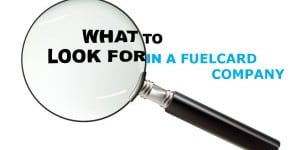 what to look for