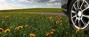 Driving with hayfever